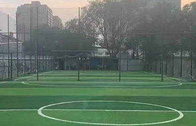 艾锐斯足球
