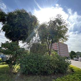 学习环境