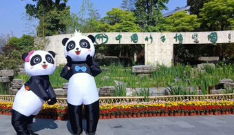 营地环境