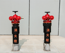 有理论没实操