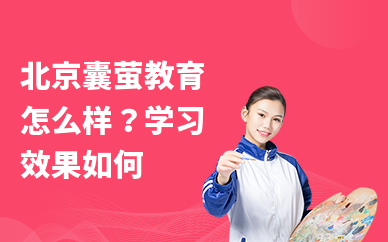 北京囊萤教育怎么样？学习效果如何
