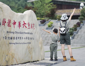 团期安排