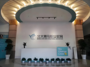 郑州北大青鸟培训