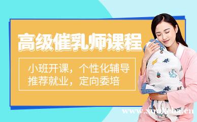 高级催乳师