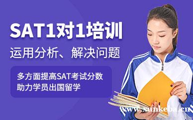 SAT一对一班