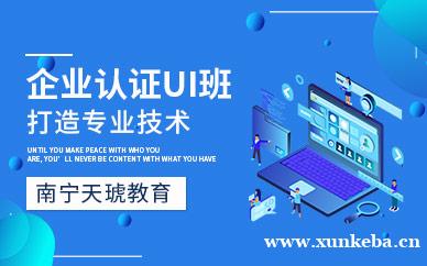 企业认证ui班