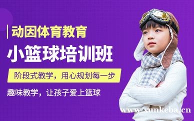 小篮球培训课程
